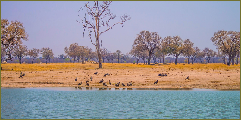 Autum-Hwange national park