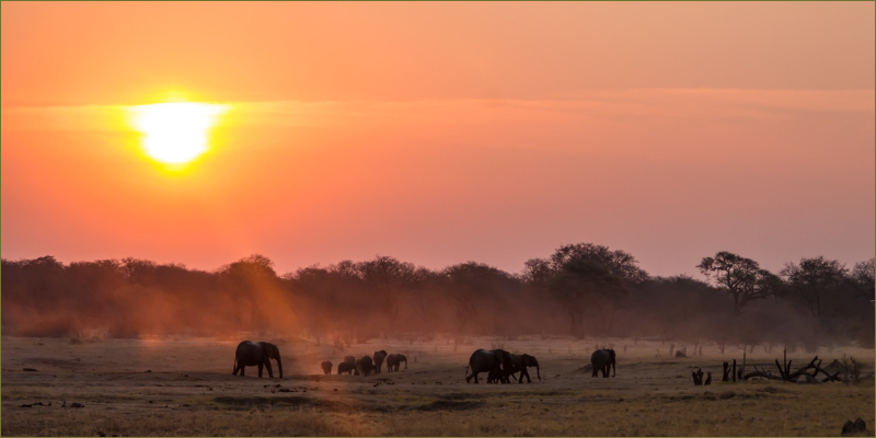 Top-5-experiences-you-can-only-get-in-Hwange1