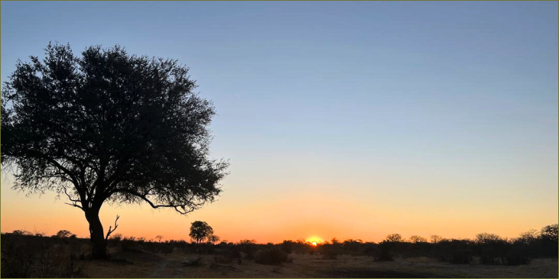 Top-5-experiences-you-can-only-get-in-Hwange2