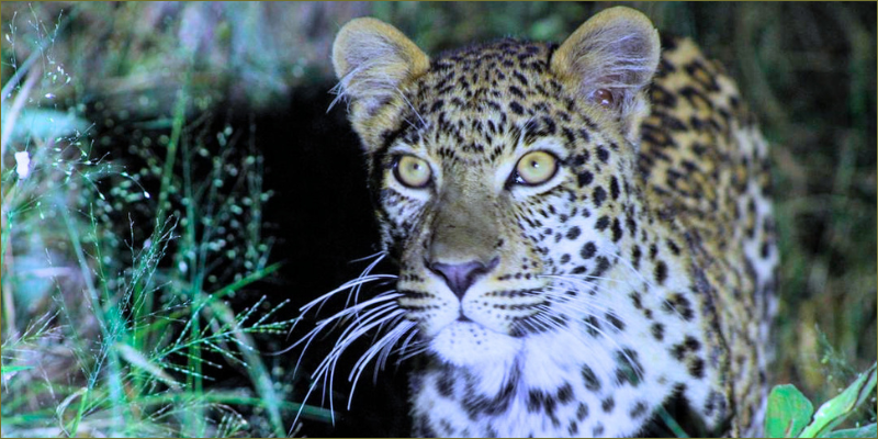 A new spot on the sign