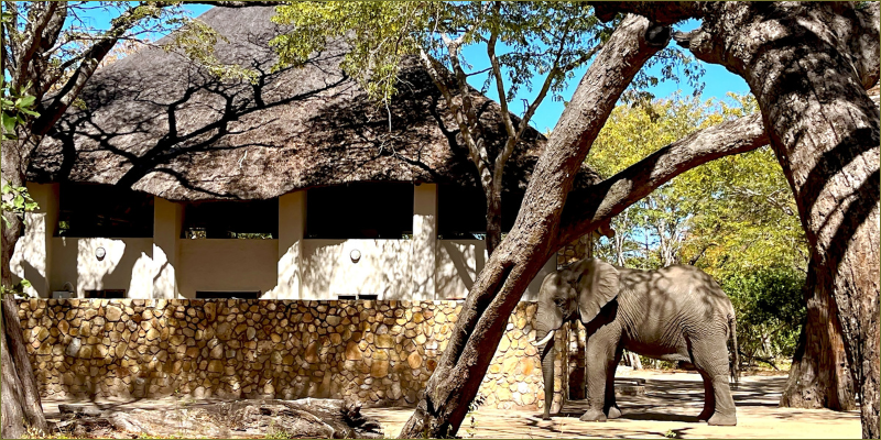 honeymoon-at-Gwango