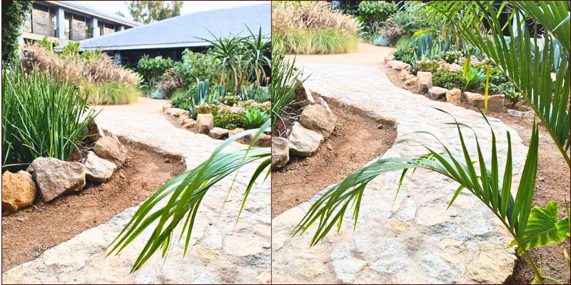 stone-pathways-at-Gwango-Tamarillo-Estate