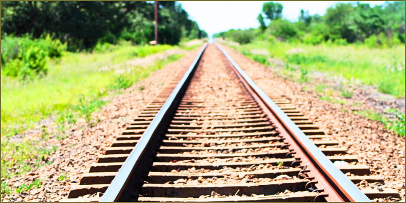 Wild tracks of Hwange