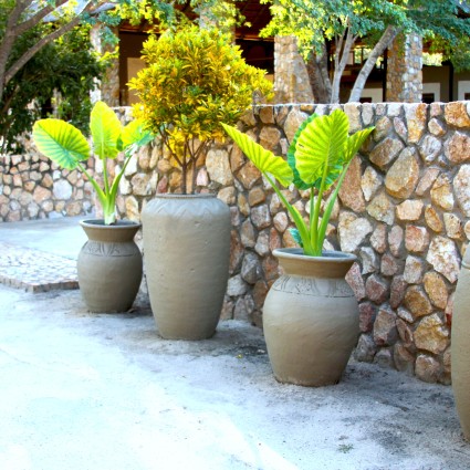 gwango-elephant-lodge-gardens.jpg