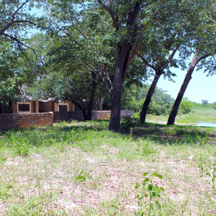 gwango-forest-chalet-view.jpg
