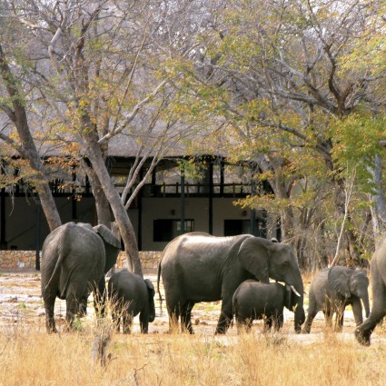gwango-stone-house-elephants.jpg