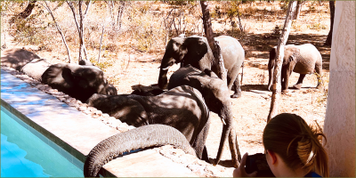 Gwango at World Travel Market Africa 2026