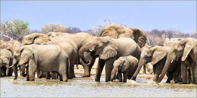 New Hwange National Park entrance - Mpofu Gate