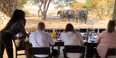 Top 5 experiences you can only get in Hwange