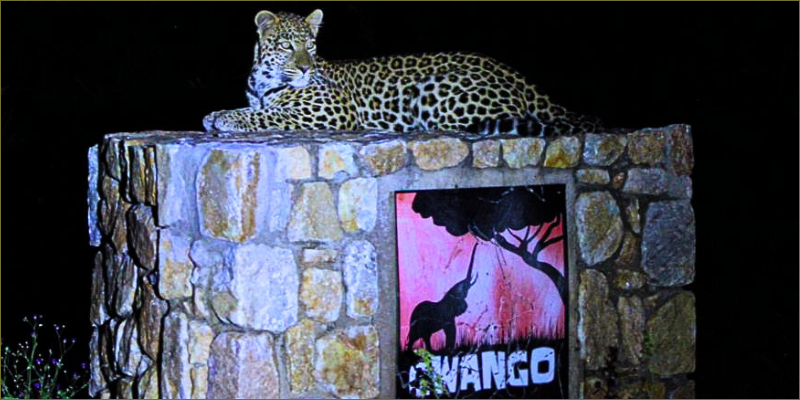 A new spot on the sign