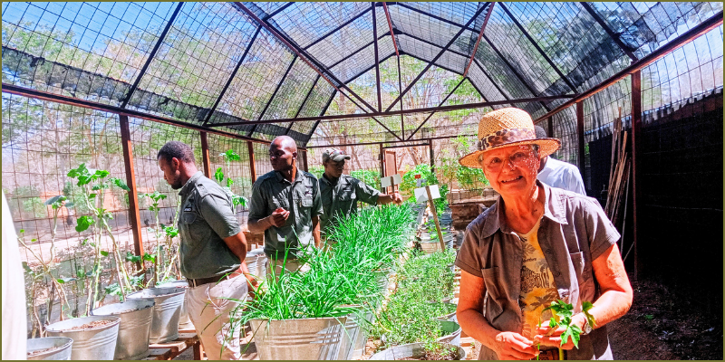 Greenhouse dream at Gobelo Farm