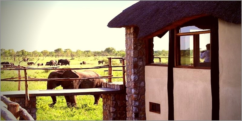 Moments Enjoyed from a Tree Top Villa