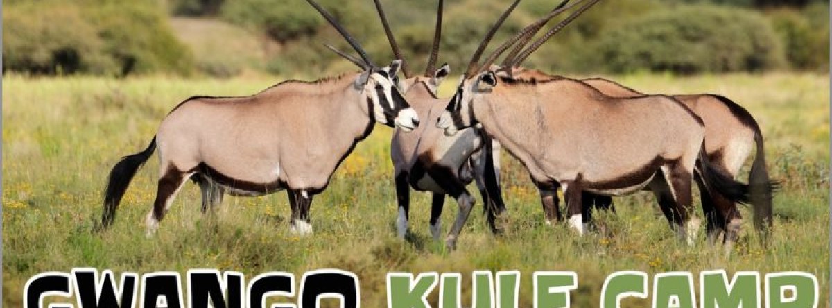 Gwango Kule Camp